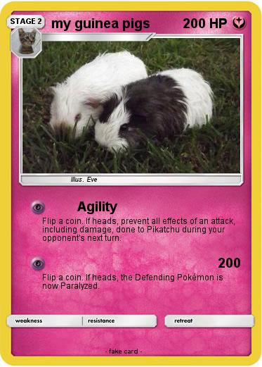 Pokemon my guinea pigs