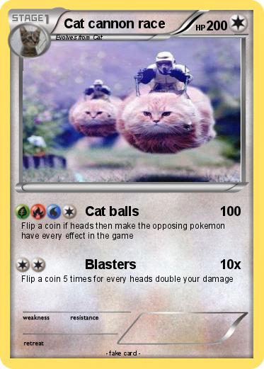 Pokemon Cat cannon race