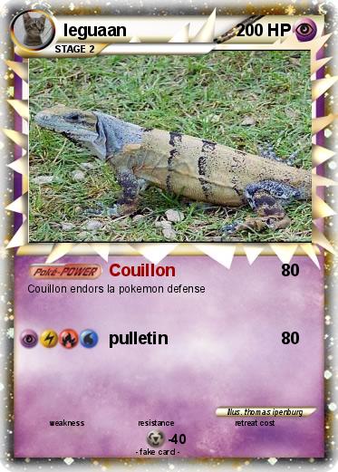 Pokemon leguaan