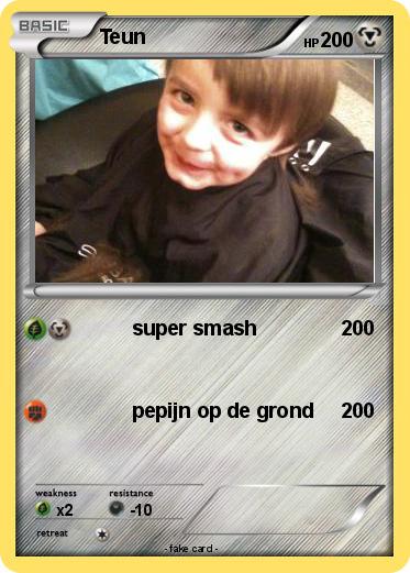 Pokemon Teun