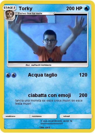 Pokemon Torky