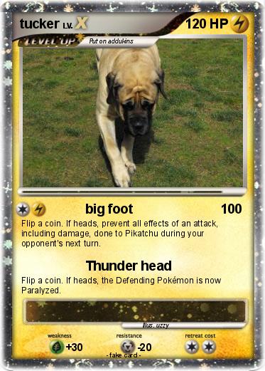 Pokemon tucker