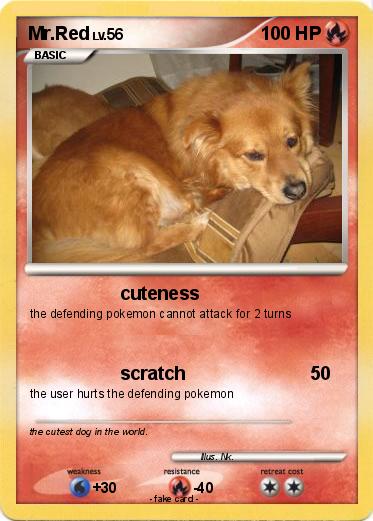 Pokemon Mr.Red