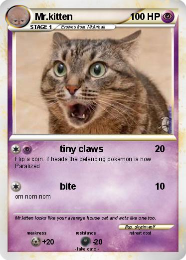 Pokemon Mr.kitten