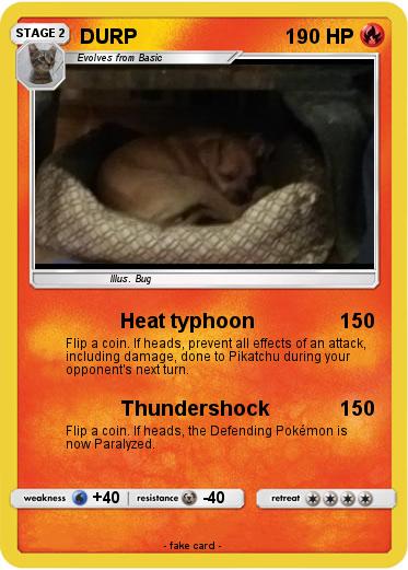 Pokemon DURP