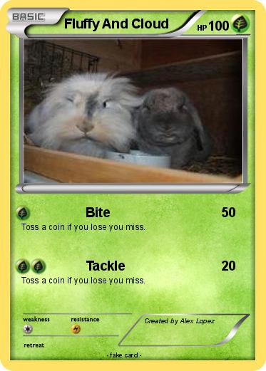 Pokemon Fluffy And Cloud