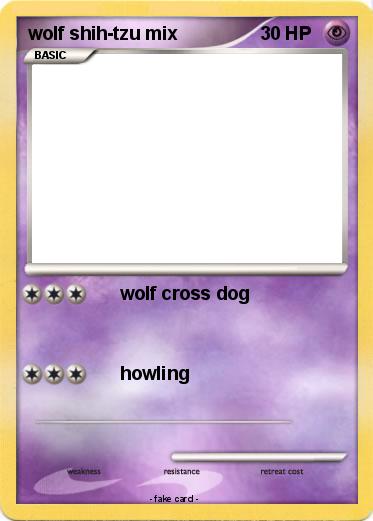 Pokemon wolf shih-tzu mix