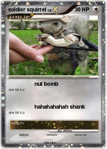 Pokemon soldier squirrel