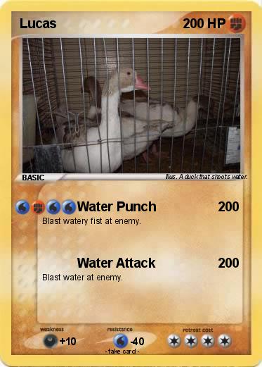 Pokemon Lucas