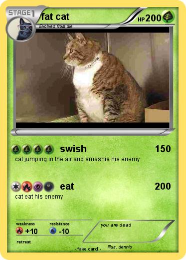 Pokemon fat cat