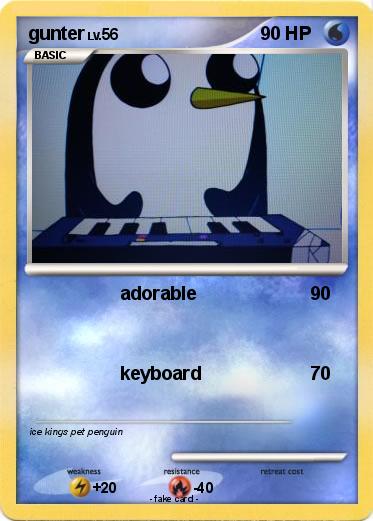 Pokemon gunter