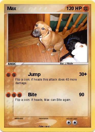 Pokemon Max