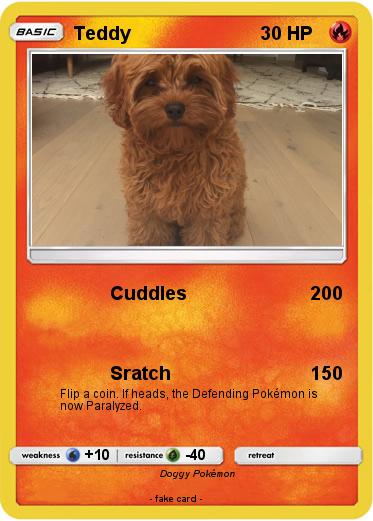 Pokemon Teddy