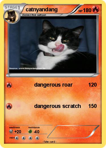 Pokemon catnyandang