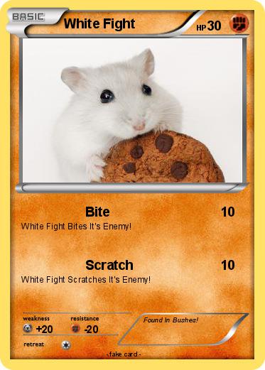 Pokemon White Fight