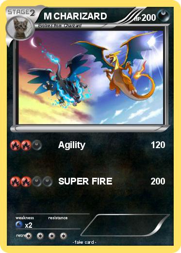 Pokemon M CHARIZARD