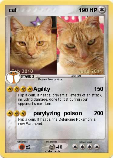 Pokemon cat