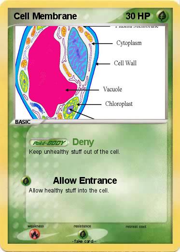 Pokemon Cell Membrane
