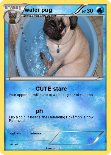 Pokemon water pug