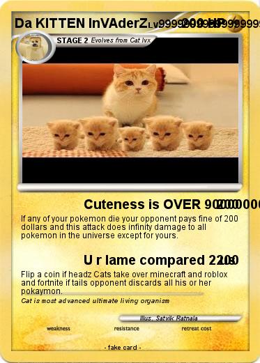 Pokemon Da KITTEN InVAderZ