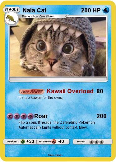 Pokemon Nala Cat