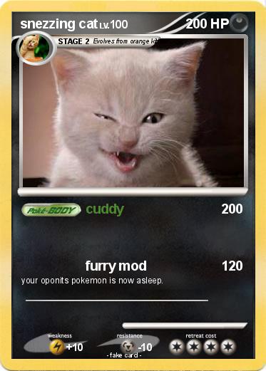 Pokemon snezzing cat