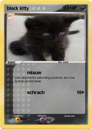 Pokemon black kitty