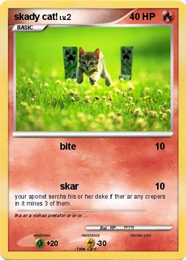 Pokemon skady cat!