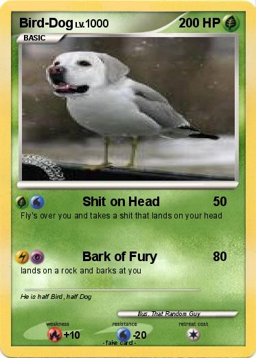Pokemon Bird-Dog