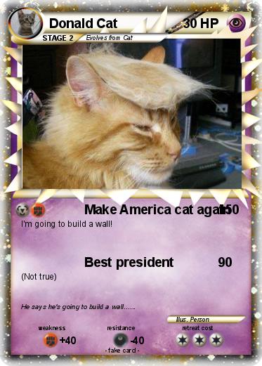 Pokemon Donald Cat