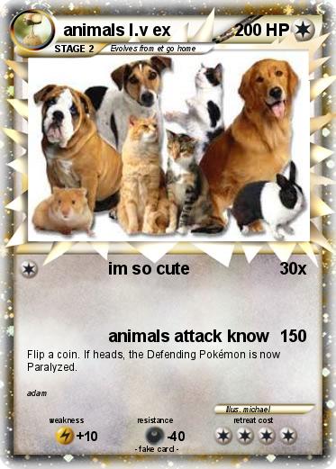 Pokemon animals l.v ex