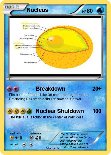 Pokemon Nucleus