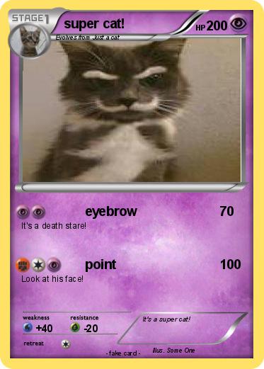 Pokemon super cat!