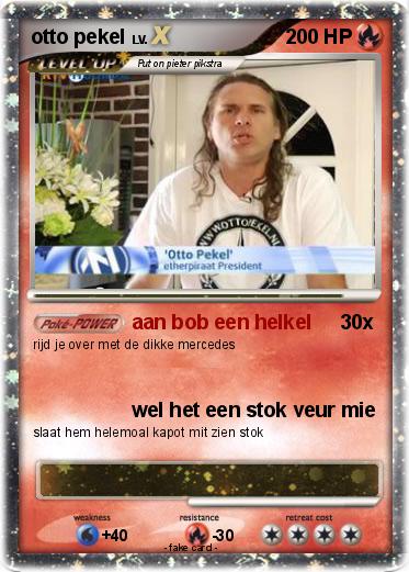 Pokemon otto pekel