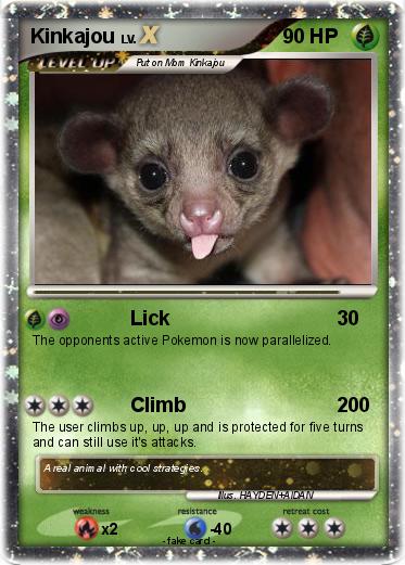 Pokemon Kinkajou