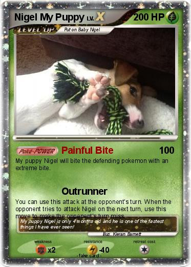 Pokemon Nigel My Puppy