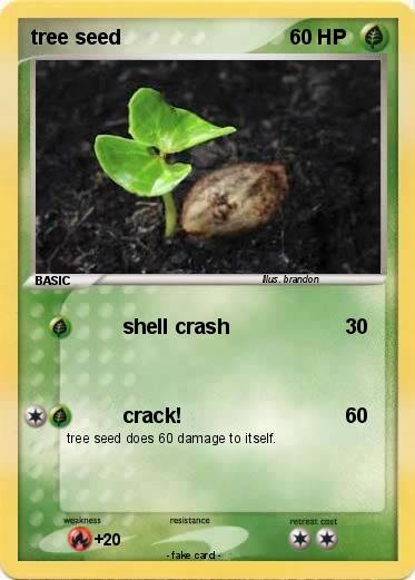 Pokemon tree seed