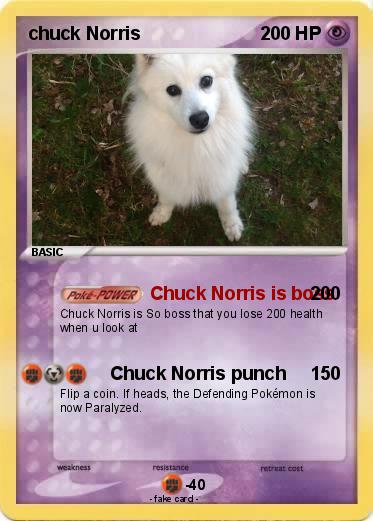 Pokemon chuck Norris