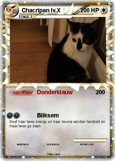 Pokemon Chacripan lv.X