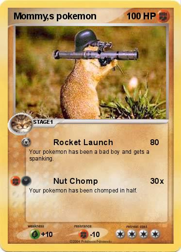 Pokemon Mommy,s pokemon