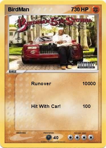 Pokemon BirdMan                             7