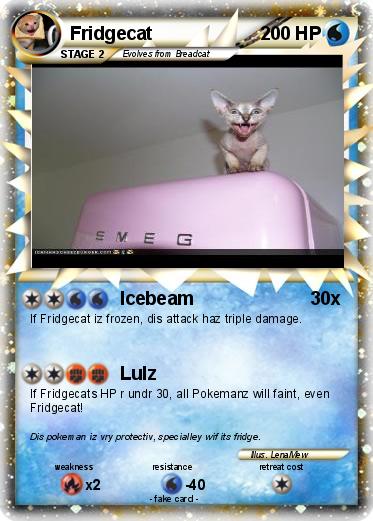 Pokemon Fridgecat