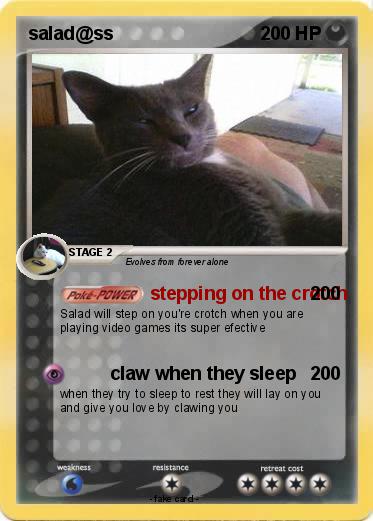Pokemon salad@ss