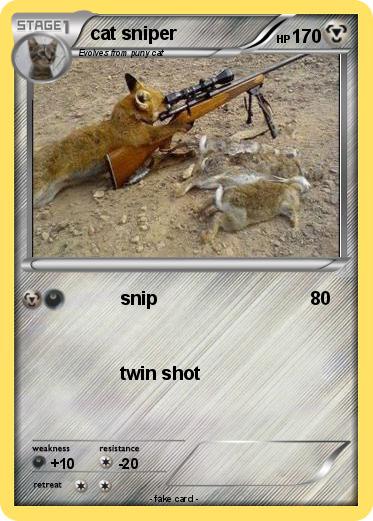 Pokemon cat sniper