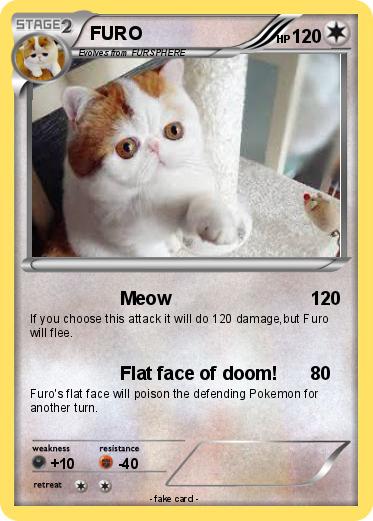 Pokemon FURO