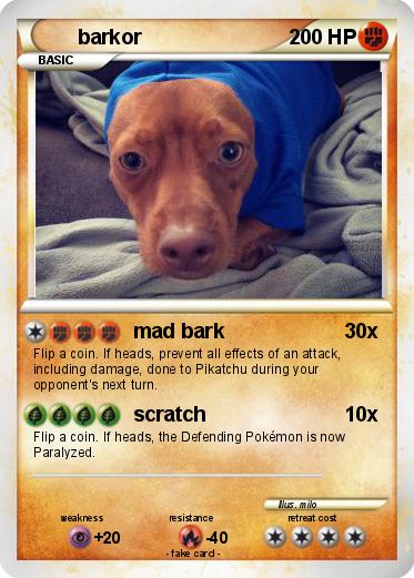 Pokemon barkor