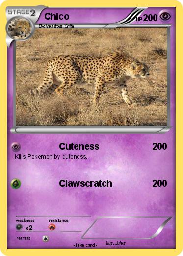 Pokemon Chico