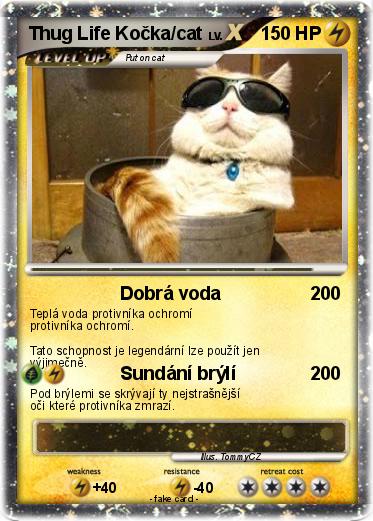 Pokemon Thug Life Kočka/cat