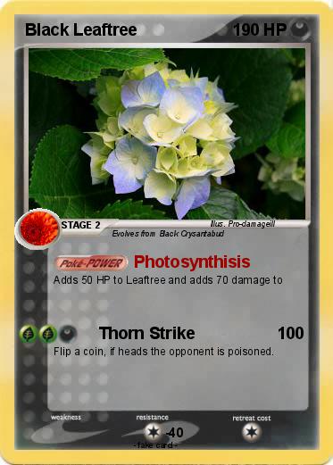 Pokemon Black Leaftree