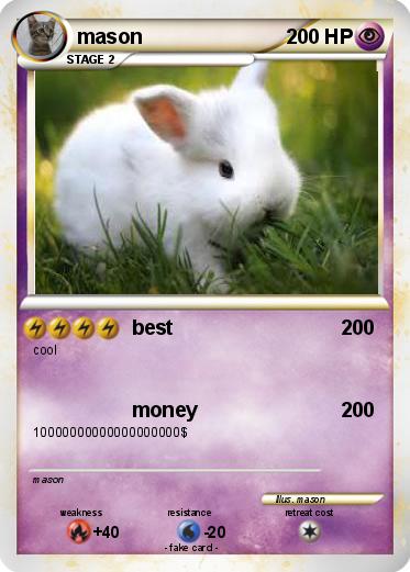 Pokemon mason